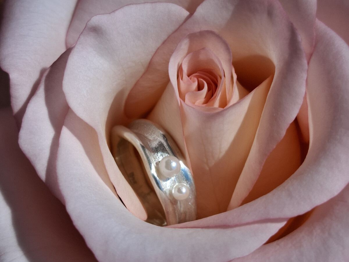 Der Ring „Lamella“ von Atelier Himmelblau - handgefertigt aus Silber mit Perlen aus Altbeständen, eingebettet in eine rosa Rose.